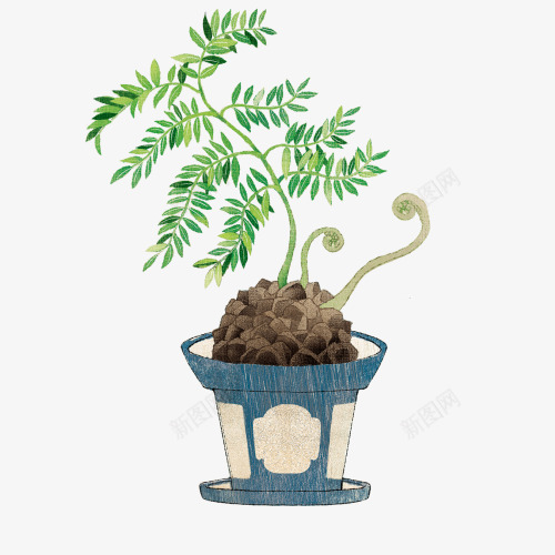 卡通手绘植物盆栽png免抠素材_新图网 https://ixintu.com 卡通 家里 手绘 植物 环保 盆栽 绿色 装饰