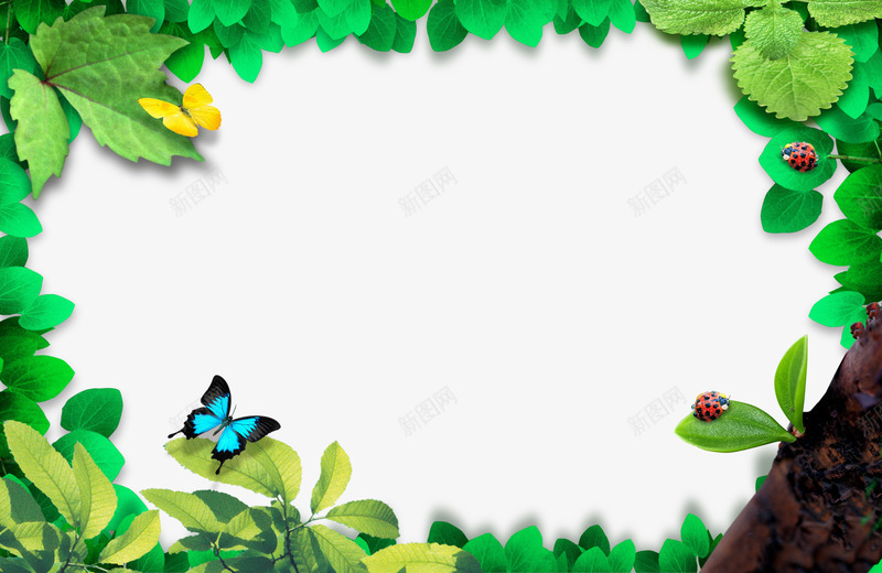 绿色边框png免抠素材_新图网 https://ixintu.com 文字背景图形 树叶 绿色植物 绿色环保 绿色边框 装饰花边