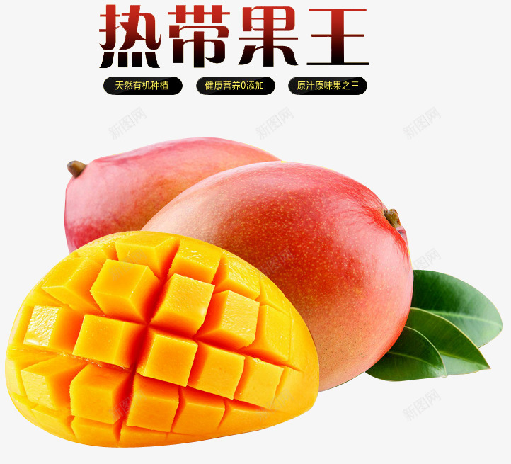 水果广告png免抠素材_新图网 https://ixintu.com 新品上市 新鲜上市 新鲜芒果 有机 果王 水果广告 热带芒果 环保 绿色 芒果 芒果素材 进口水果