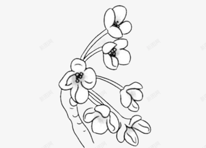 简单画桂花花瓣png免抠素材_新图网 https://ixintu.com 桂花 桂花花瓣 素材 花瓣