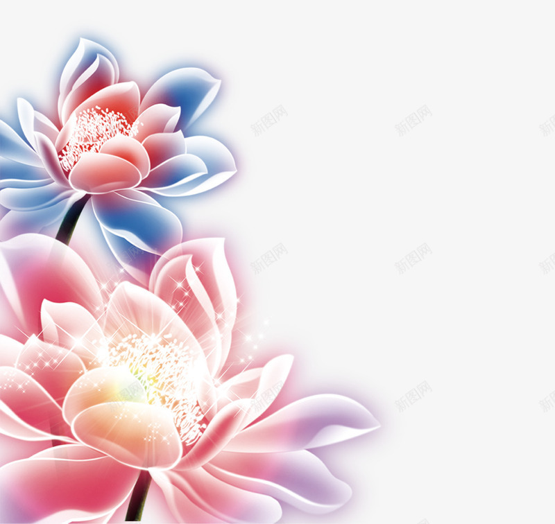 效果元素莲花png免抠素材_新图网 https://ixintu.com 唯美的水仙花 插画 水彩 莲花