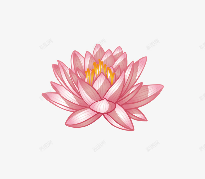 卡通莲花png免抠素材_新图网 https://ixintu.com 佛教 卡通 复古 莲花