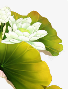 手绘绿色荷叶白色莲花png免抠素材_新图网 https://ixintu.com 白色 绿色 荷叶 莲花