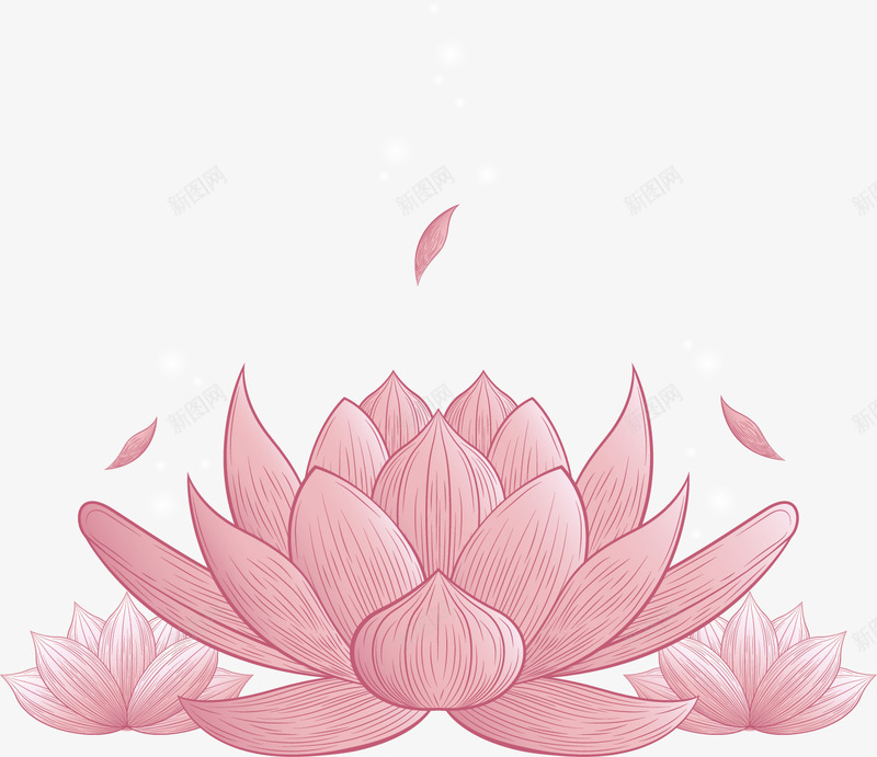 手绘风粉红色莲花矢量图ai免抠素材_新图网 https://ixintu.com 手绘莲花 手绘风 盛开莲花 矢量png 粉色莲花 莲花 矢量图