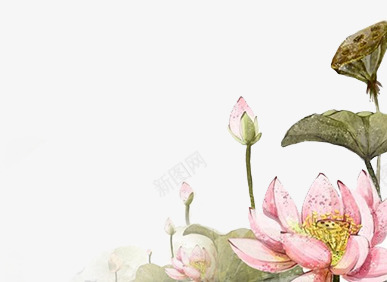 莲花png免抠素材_新图网 https://ixintu.com 水墨莲花 花朵 莲叶 莲花
