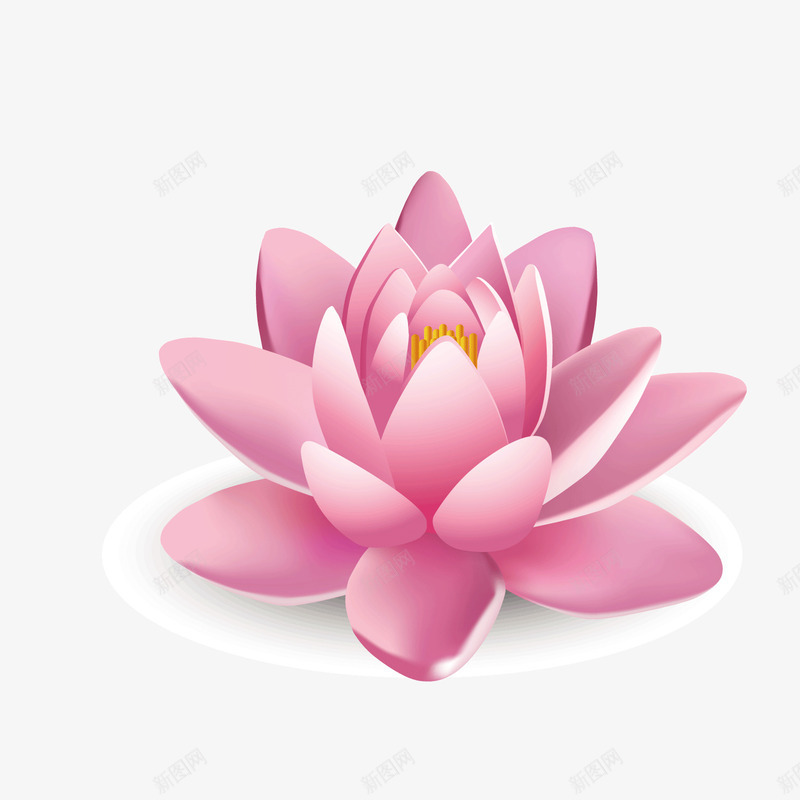 红色莲花矢量图ai免抠素材_新图网 https://ixintu.com 植物 素材 红色 莲花 矢量图
