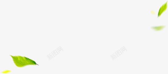 绿色清爽夏日树叶漂浮png免抠素材_新图网 https://ixintu.com 夏日 树叶 清爽 漂浮 绿色