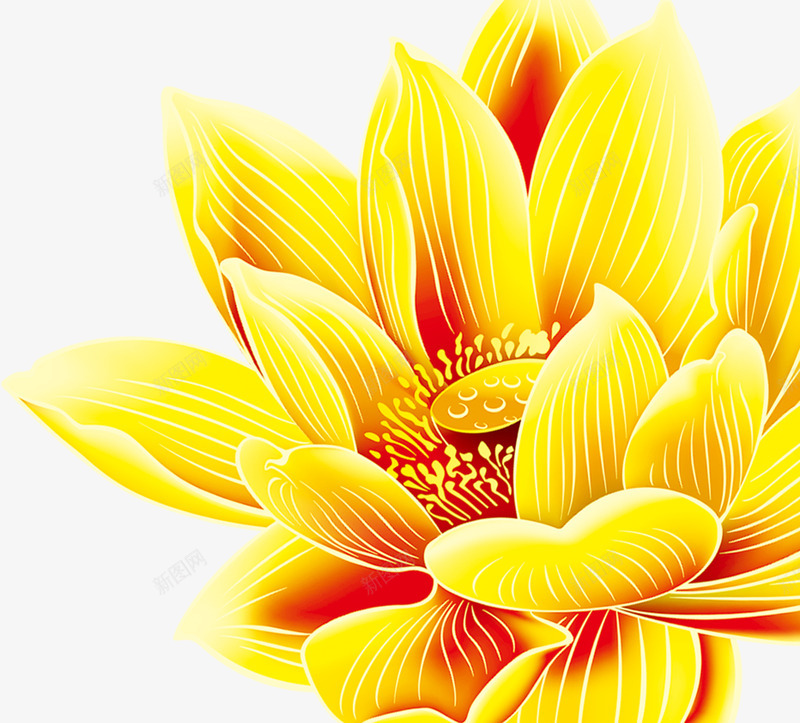 黄色手绘花朵莲花png免抠素材_新图网 https://ixintu.com 花朵 莲花 黄色
