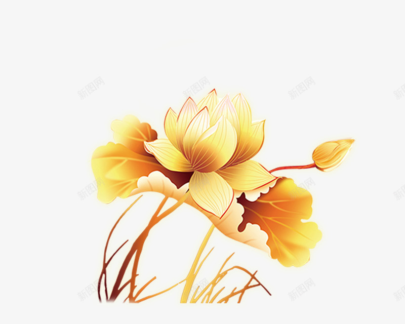 金色莲花psd免抠素材_新图网 https://ixintu.com 花儿 莲花 金色