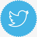 齿轮社交公司twitter图标png_新图网 https://ixintu.com twitter 公司 社交 齿轮