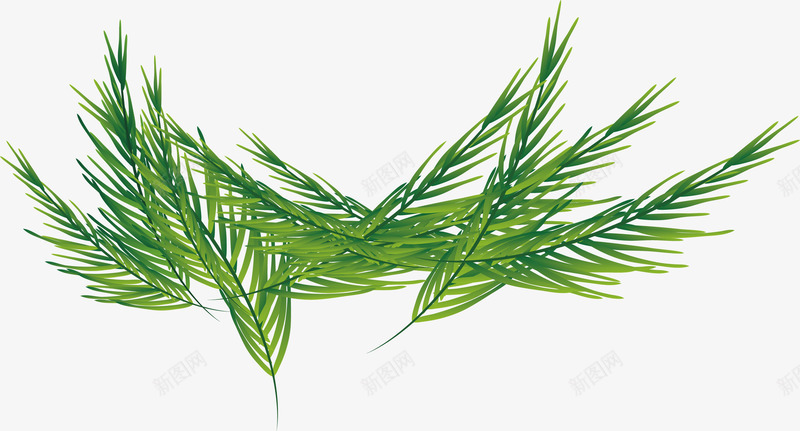 绿色针叶植物矢量图eps免抠素材_新图网 https://ixintu.com 亲近自然 夏日植物 矢量素材 绿色植物 针叶植物 矢量图