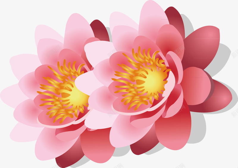 莲花装饰矢量图ai免抠素材_新图网 https://ixintu.com 莲花 莲花装饰 莲花装饰设计矢量 装饰设计矢量 设计 矢量图