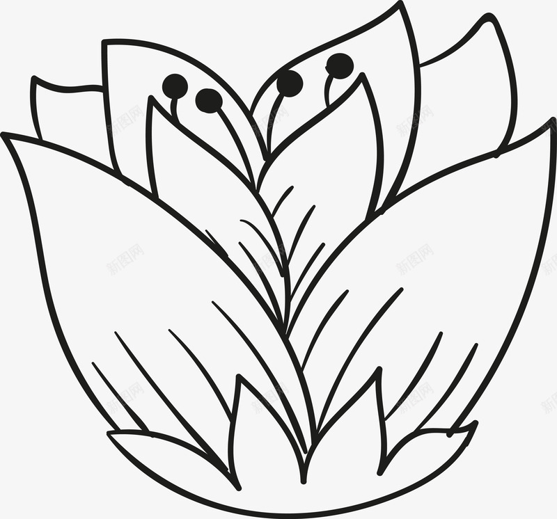 手绘线条花朵图png免抠素材_新图网 https://ixintu.com 几何手绘 手绘花 旋纹 矢量花 矢量花纹 线性花 花 花朵 花纹 花纹图 螺旋花 装饰