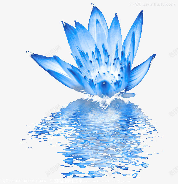 水中莲花psd免抠素材_新图网 https://ixintu.com 水中莲花 白色 装饰