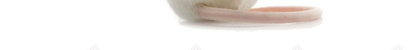 毕业答辩PPT模板085PPT模板_新图网 https://ixintu.com 模板 毕业 答辩