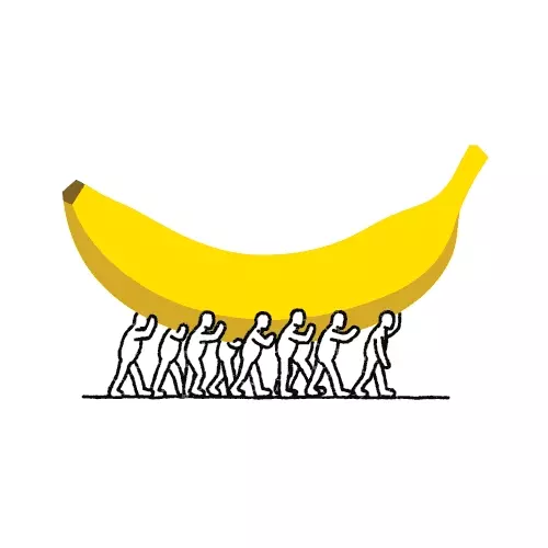 宇宙牌儿香蕉插画大杂烩素材