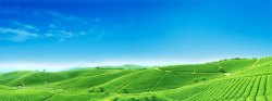 蓝天户外绿色农田风景海报高清图片