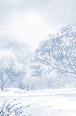 冬天花草暴风雪背景