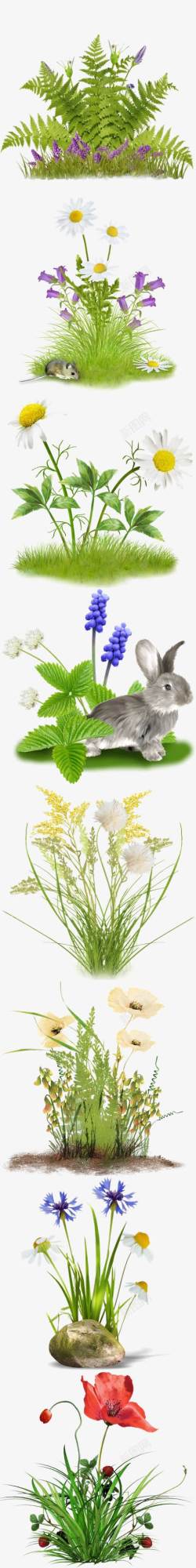 动物植物绿叶花朵植物高清图片
