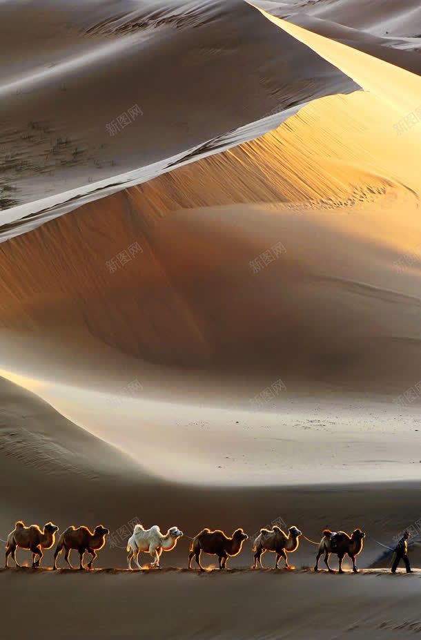 自然地理沙漠丘陵jpg设计背景_新图网 https://ixintu.com 丘陵 地理 沙漠 自然