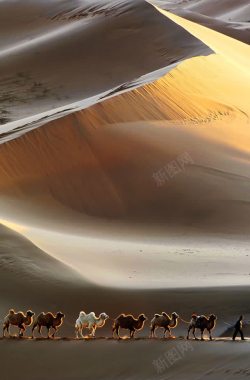自然地理自然地理沙漠丘陵高清图片
