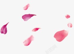 爱心粉色h5漂浮桃花花瓣高清图片
