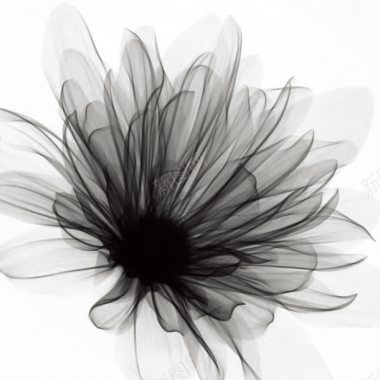 扁平化花朵黑色科技花朵背景背景
