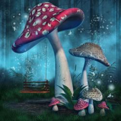 梦游仙境美丽仙境里的蘑菇高清图片
