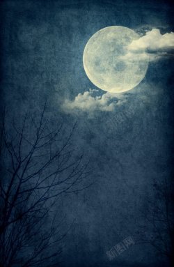 树枝蓝色月亮高清图片