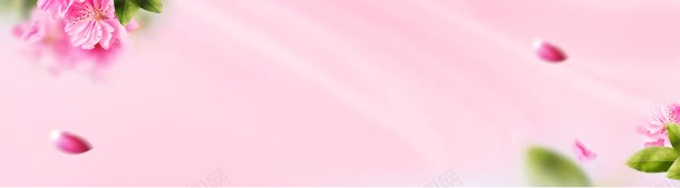 美容bannerjpg设计背景_新图网 https://ixintu.com 化妆品背景海报 桃花 淘宝天猫背景 粉色背景 绸带 美容背景 花瓣