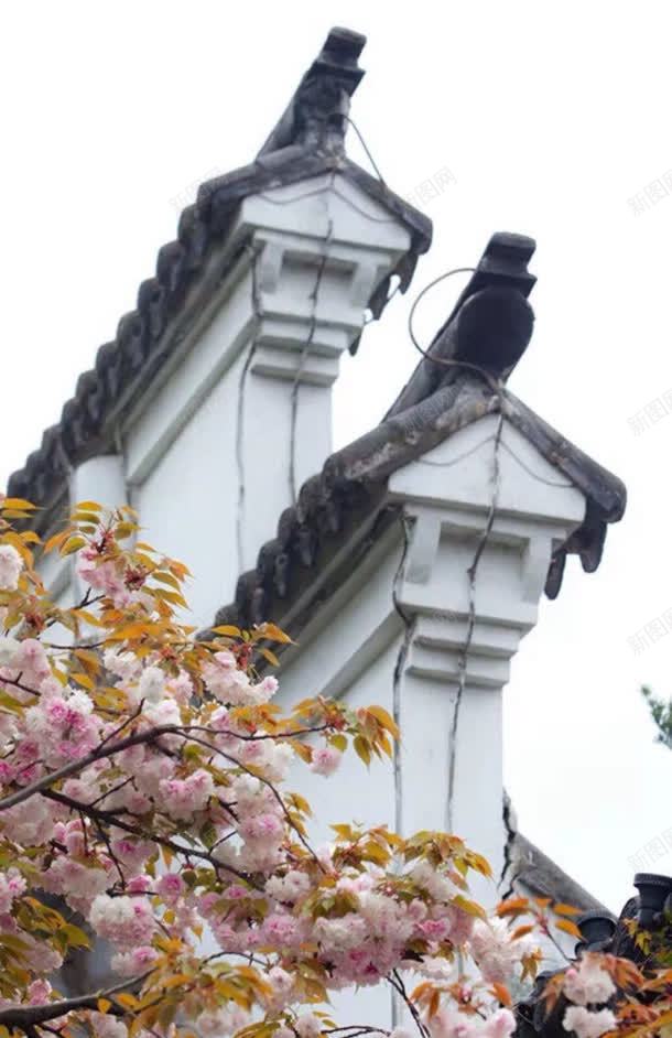 屋檐古代水墨建筑jpg设计背景_新图网 https://ixintu.com 古代 屋檐 建筑 水墨