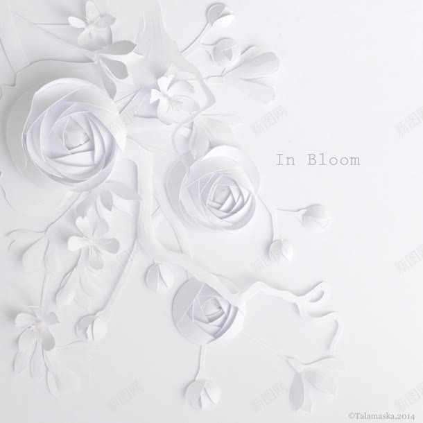 雕刻样式白色玫瑰jpg设计背景_新图网 https://ixintu.com 样式 玫瑰 白色 雕刻