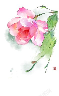 手绘水彩粉色玫瑰背景