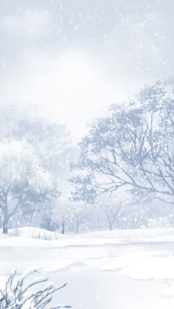树林雪地图片素材下载暴风雪高清图片