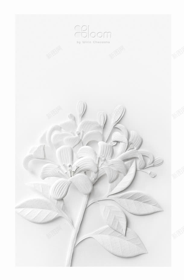 白色叶子花朵jpg设计背景_新图网 https://ixintu.com 叶子 图片 白色 花朵