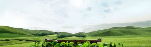 绿色大山茶叶背景矢量背景