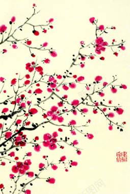 透明手绘粉色梅花背景