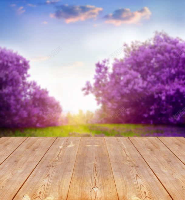紫色花树木板海报背景jpg设计背景_新图网 https://ixintu.com 蓝色天空 云彩朵朵 木板 海报 紫色 背景 唯美花树