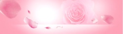 浅色梦幻粉色玫瑰花开温馨浪漫海报背景高清图片