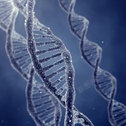 DNA细胞基因细胞高清图片
