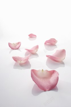 玫瑰护肤品设计实物玫瑰花瓣护肤品海报高清图片