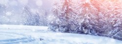 冬季主题海报冬季雪景高清图片