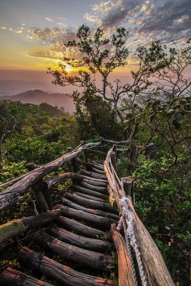 夕阳茂密的丛林深处jpg设计背景_新图网 https://ixintu.com 丛林 夕阳 深处 茂密