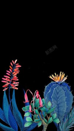 蓝色仙人掌蓝色仙人掌上的花卉高清图片