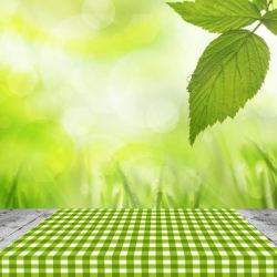 小格子桌布绿叶下的绿色格子桌布高清图片