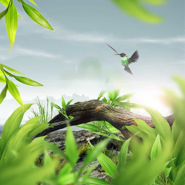 草地上的干枯树干蜂鸟海报背景jpg设计背景_新图网 https://ixintu.com 干枯 干枯的 树干 海报 背景 草地 蜂鸟