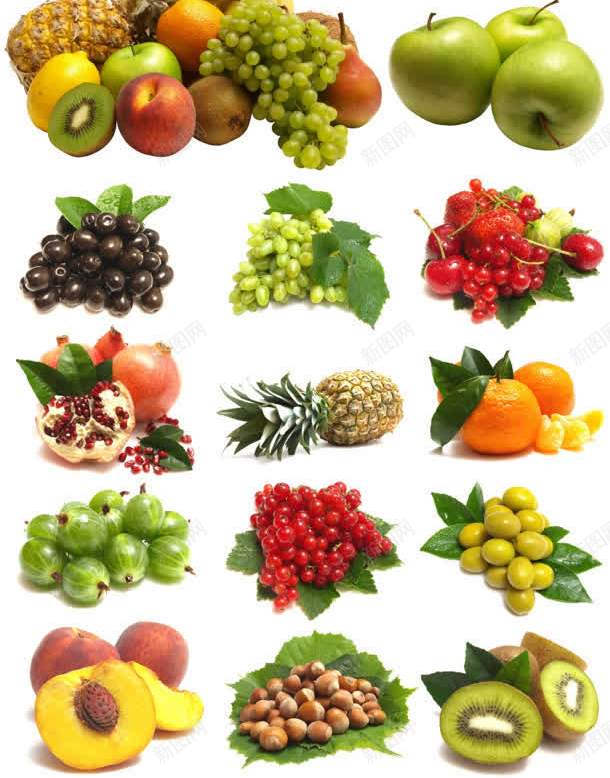 水果蔬菜白底图jpg设计背景_新图网 https://ixintu.com 水果 爱心动态背景 爱心蔬菜 菜类图片 蔬菜