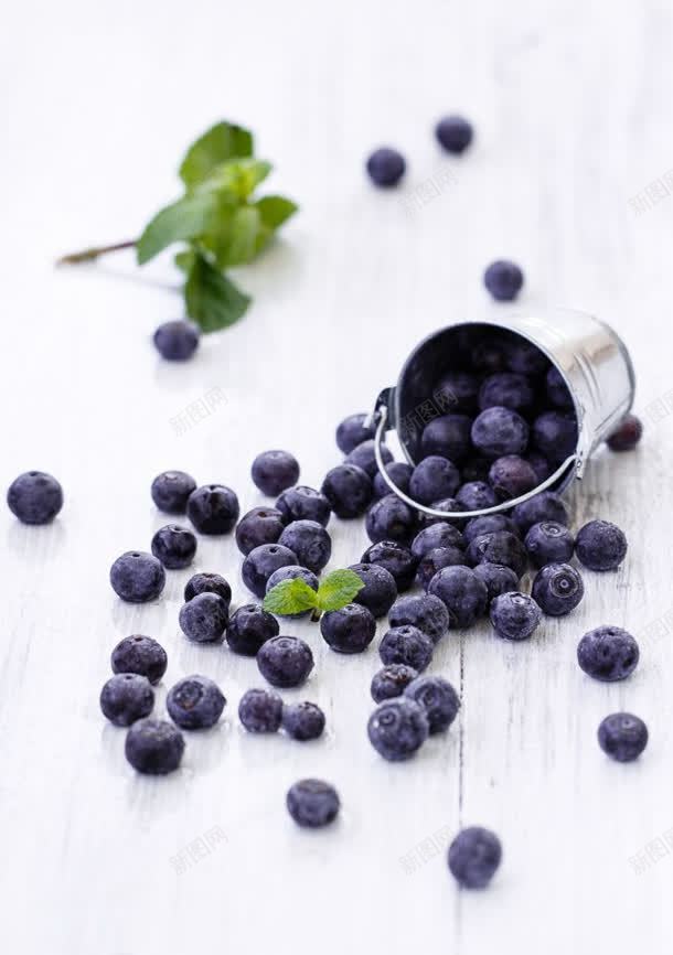 紫色水果蓝莓绿叶jpg设计背景_新图网 https://ixintu.com 一桶 倾倒 新鲜 蓝莓 水果 酸甜 紫色 绿叶