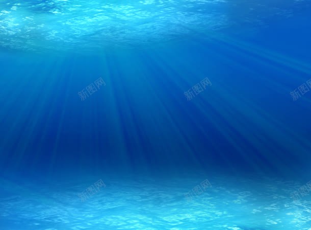 海底世界水下摄影背景图片 素材7yskapgwe 新图网