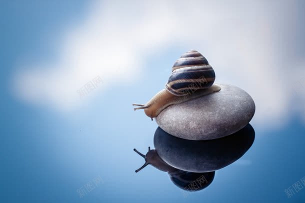 水面石头蜗牛唯美jpg设计背景_新图网 https://ixintu.com 水面 石头 蜗牛